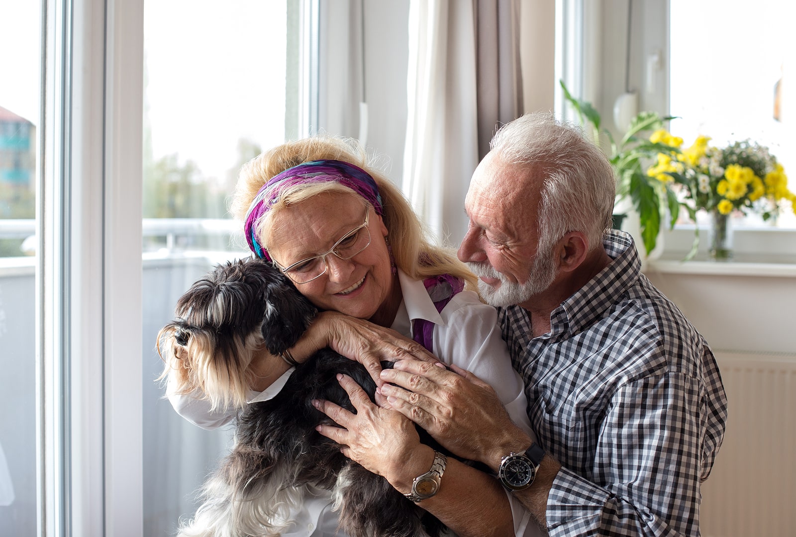 Sun City Grooming Specialized Care for Senior Pets in Arizona 4